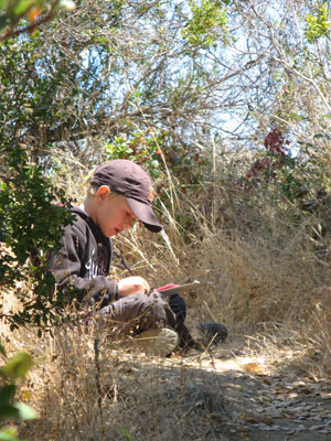 Summer Nature Camps Wrap Up At Richardson Bay 