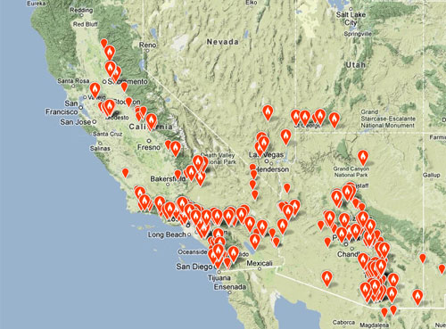 Mysterious movements of the Phainopepla | Audubon California