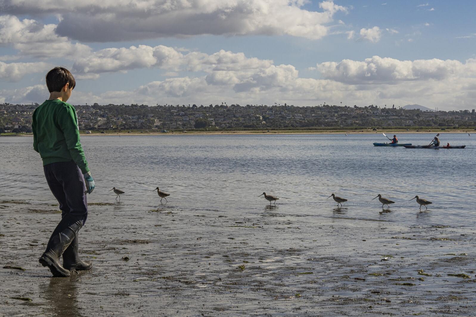 A young boy walks along the beach, with shorebirds and kayakers in the background