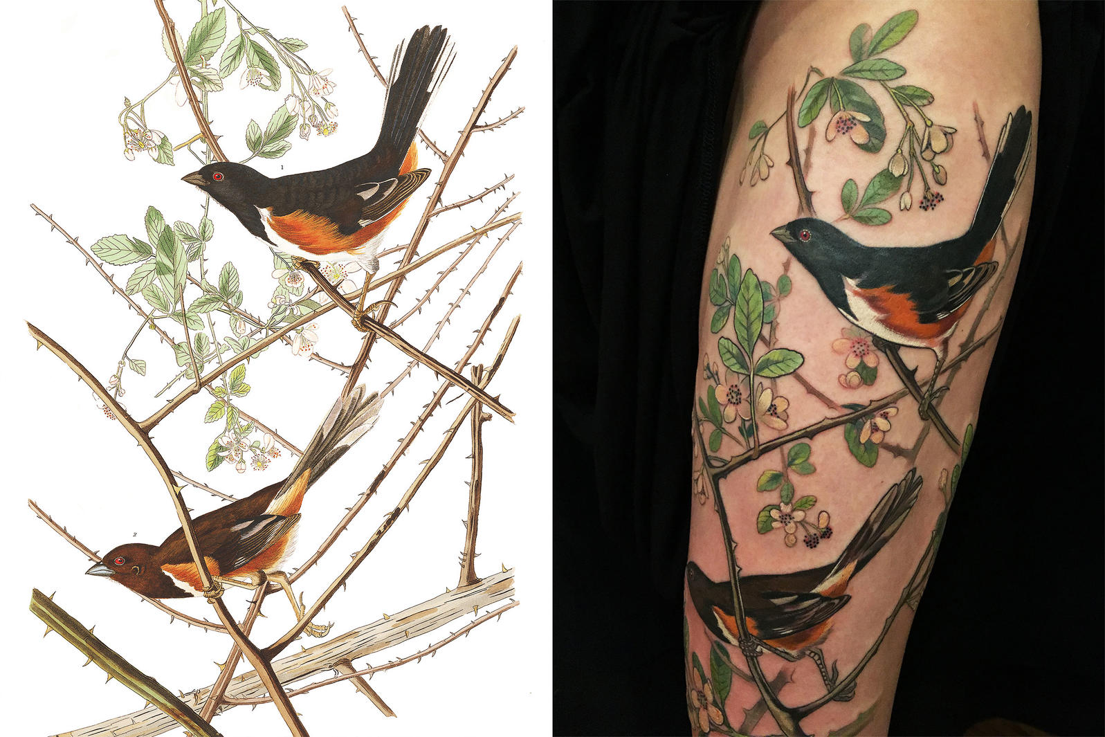 Large FakeTattoo Full Chest Back Temporary Tattoos Waterproof Phoenix Bird  Carp | eBay