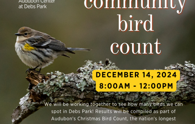 2024 Community Bird Count