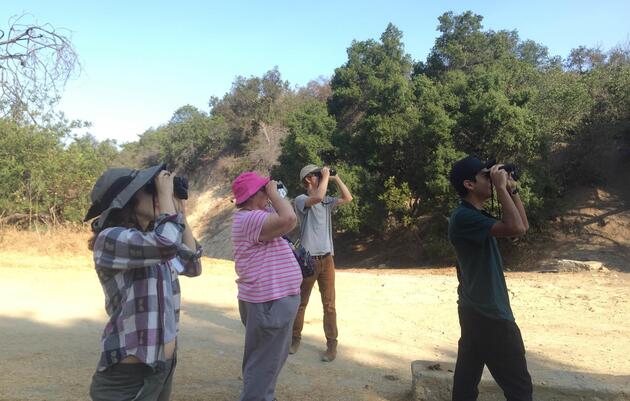 Community Bird Walk | Paseo de aves comunitario