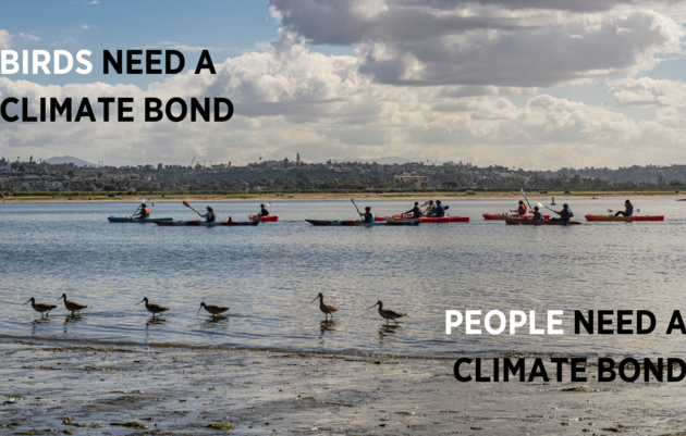 The Climate Bond Will Help Build the Resilience that Californians and Birds Need