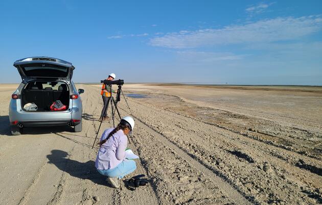 Shorebirds flock to the Salton Sea