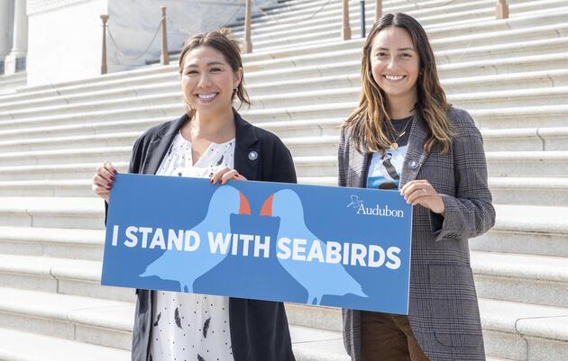 We Stand with Seabirds  
