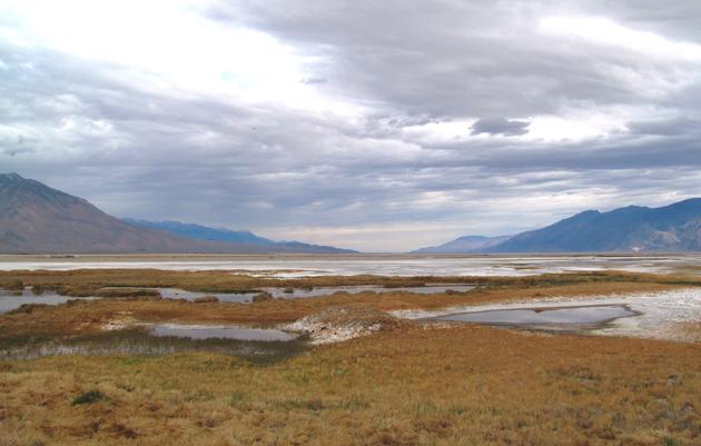 New opportunities for birds at Owens Lake