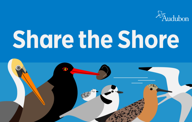 10 Steps to Share the Shore