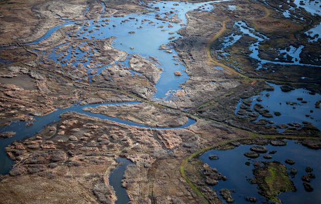 New Study: Wetlands Restoration Can Improve Water Quality in Central Valley