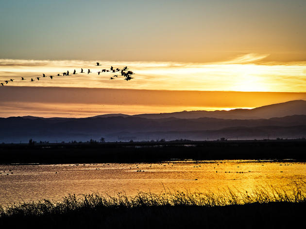 Legislature Urged to Include Resources for Birds and Watersheds in Water Bond 