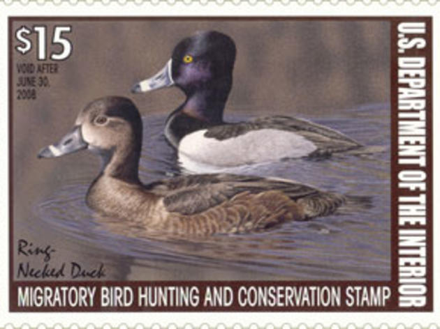 Duck Stamp Art Contest being held in Berkeley today and tomorrow