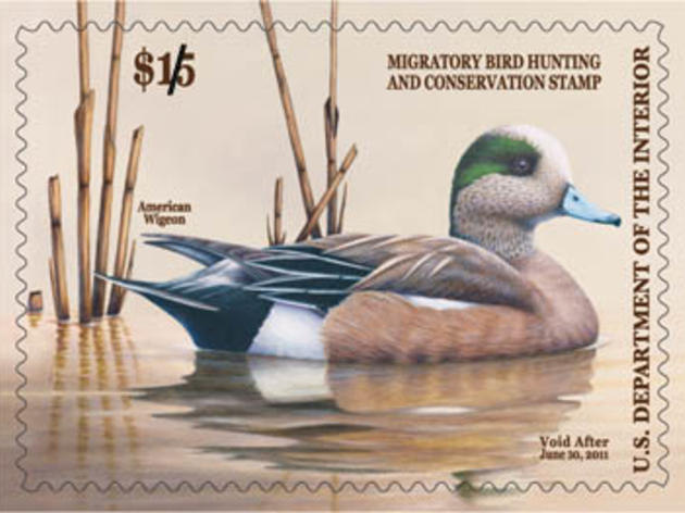 I'm not a hunter - why should I buy a duck stamp?