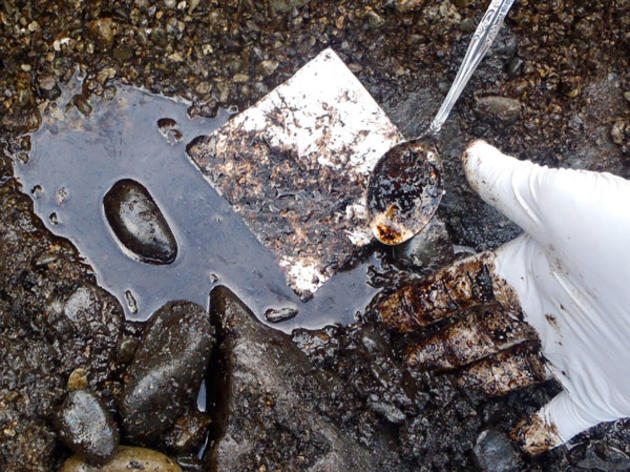 26 years after Exxon Valdez Oil Remains