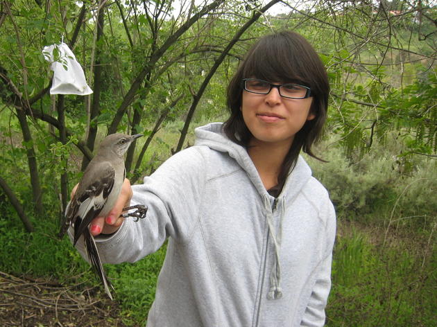 Los Angeles Teen Recognized for Audubon Volunteerism