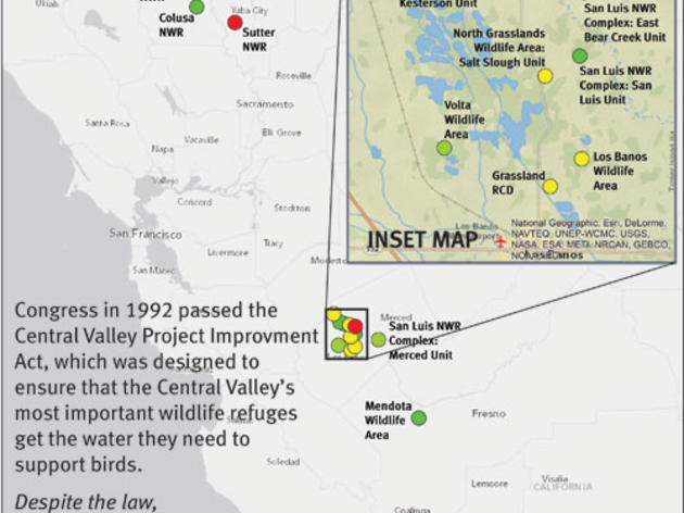 Our failed promise to Central Valley birds