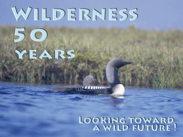 Wilderness Celebrates 50 Years