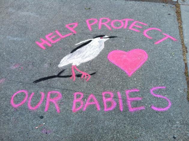 Art Flash Mob and other educational programs protect herons in downtown Oakland
