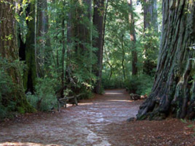 California State Park fees to go up next week