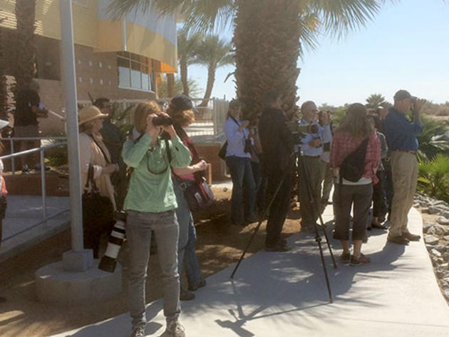 Audubon California at the Salton Sea