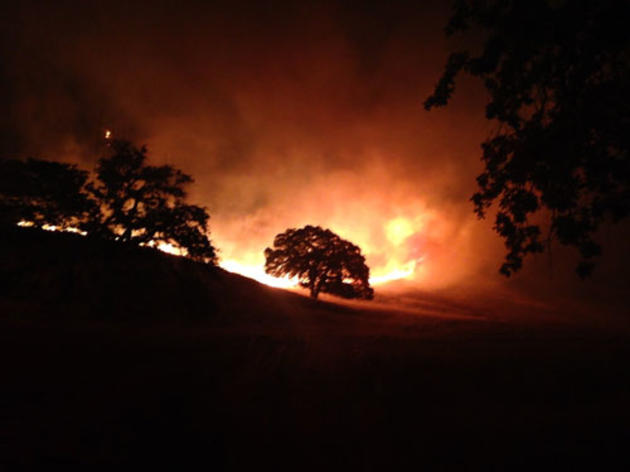 Fire at the Audubon Bobcat Ranch