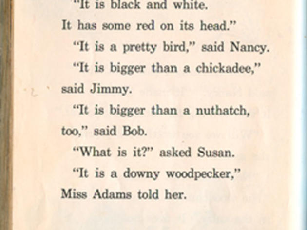 Downy Woodpecker in 1930s California textbook