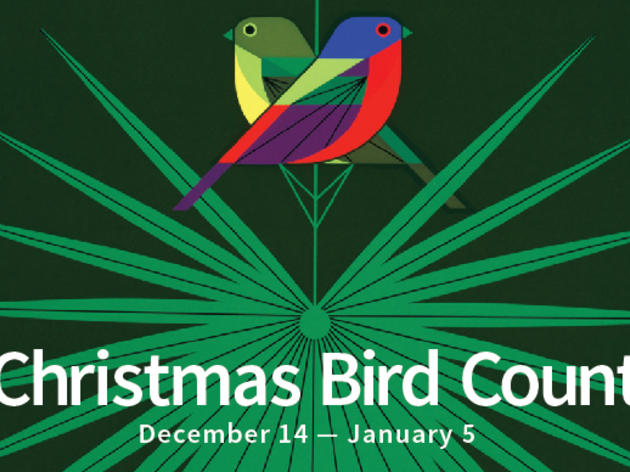 118th Christmas Bird Count is underway!
