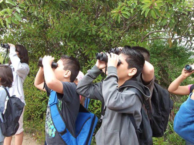 How can we enjoy birds and nature if it's unhealthy to breathe the air outside?