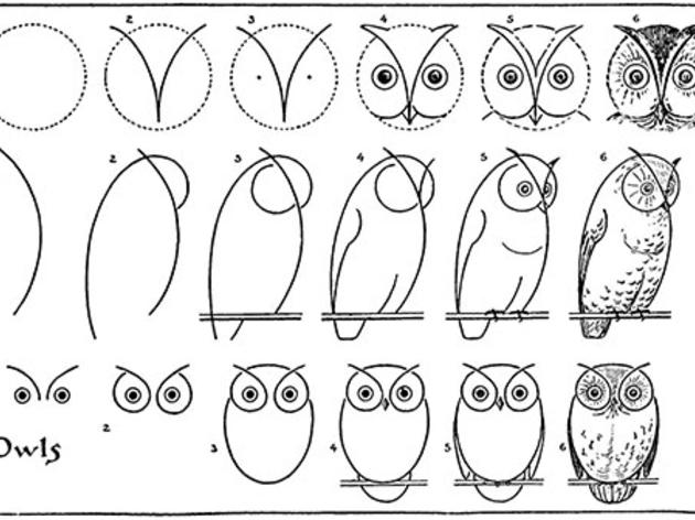 Now you know how to draw an owl