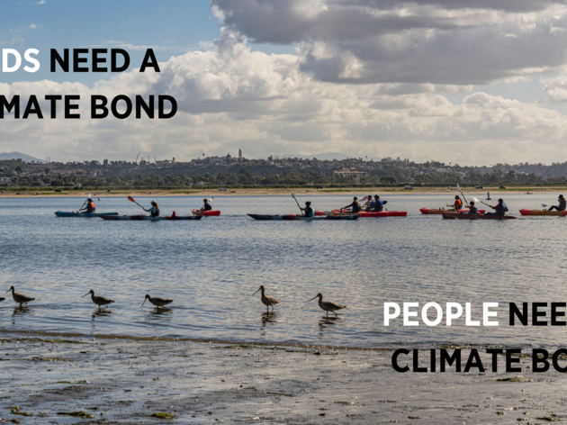 The Climate Bond Will Help Build the Resilience that Californians and Birds Need