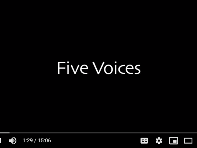 Top 5 Voices of the Birds