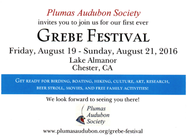 We are going to the first ever Grebe Festival in August. Are you?