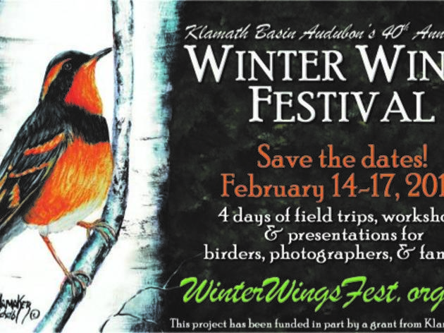 2019 Winter Wings Festival