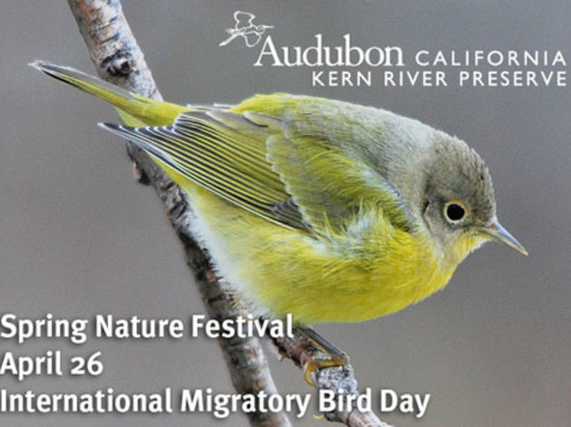 April 26: Audubon Kern River Preserve Spring Nature Festival