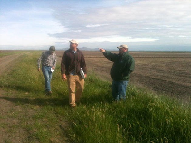 Farmers for birds