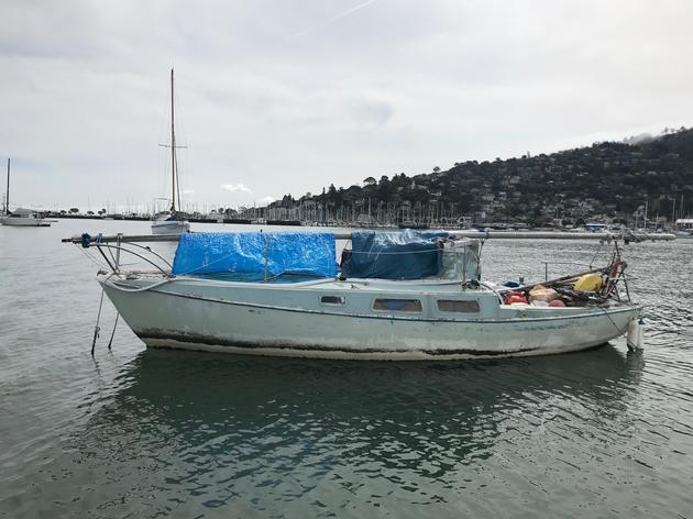 Tangled web of issues complicates effort to protect Richardson Bay's eelgrass