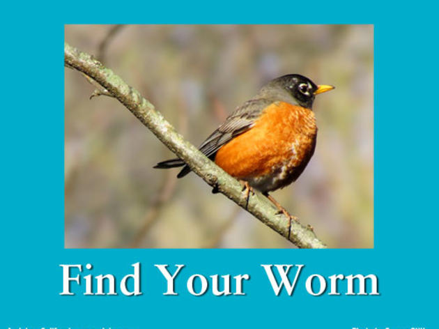 Find your worm