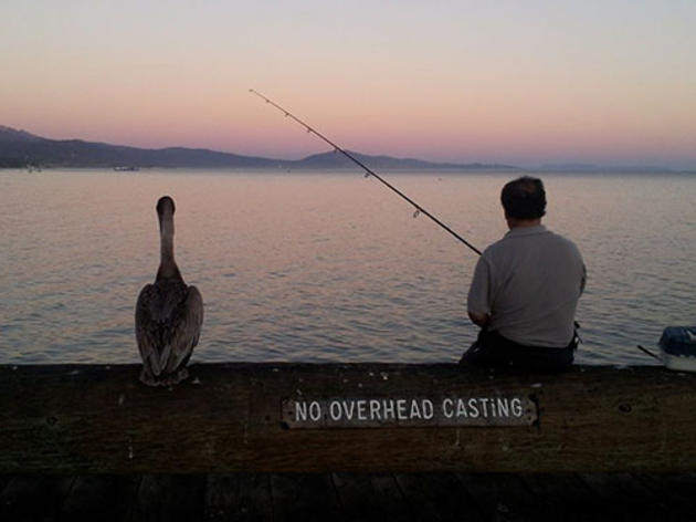 An evening of fishing off the Santa Barbara Pier