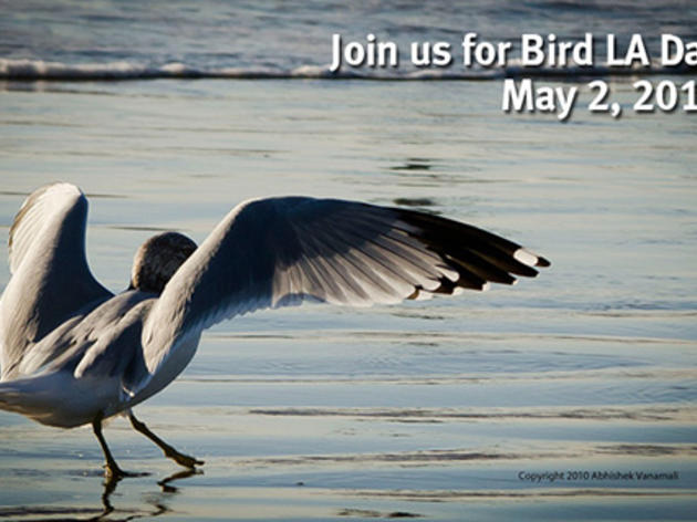 So Cal friends, get set for Bird LA Day on May 2
