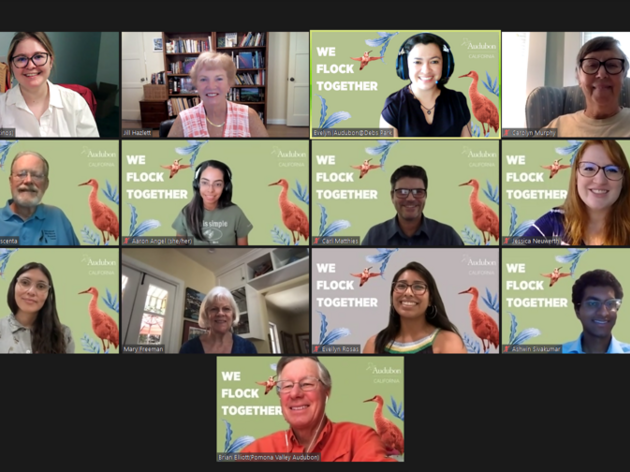 We did it! Audubon Flocked Together for Virtual Advocacy Day 2022