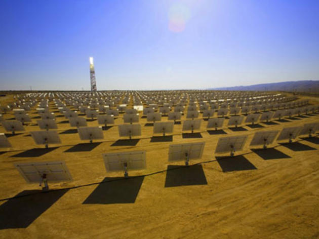 Responding to reports of bird deaths at Ivanpah solar facility