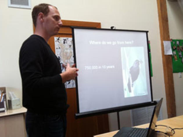 Keiller Kyle talks about Tricolored Blackbirds