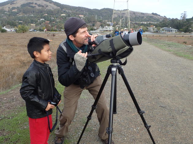 Youth Winter Bird Count in San Rafael