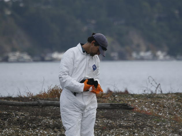 Following Ventura: can oil spills really be cleaned up?