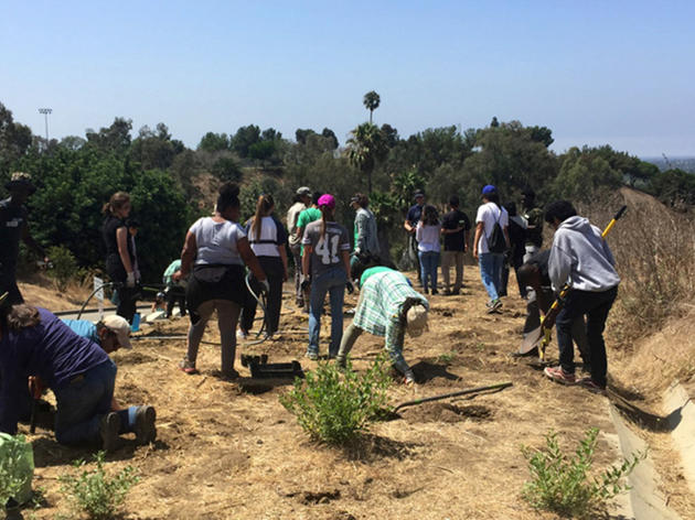 Los Angeles Audubon restoration program creates new opportunities for young people