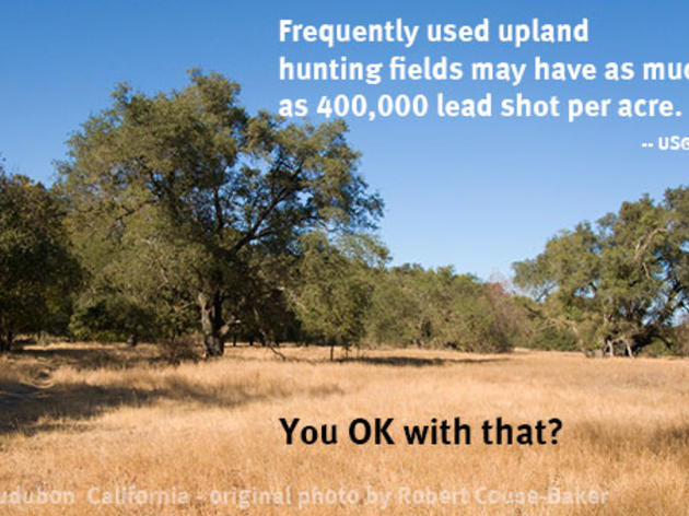 That's a lot of lead from ammunition in the environment