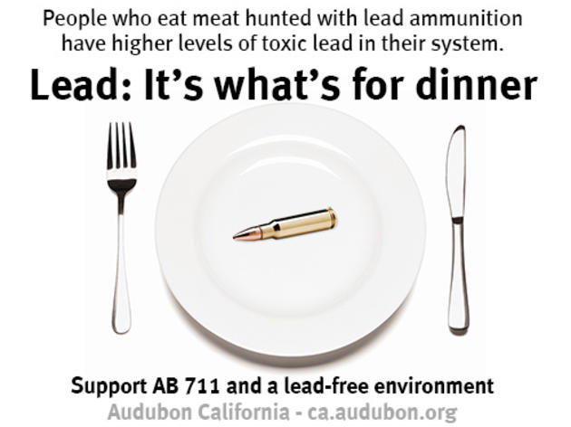 Lead: it's what's for dinner