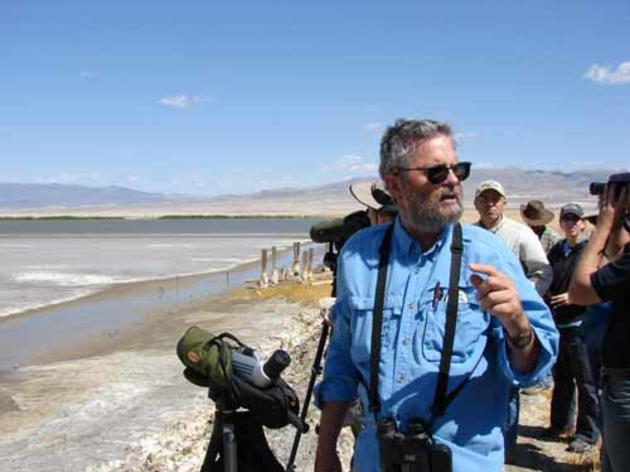The evangelist of Owens Lake birds*