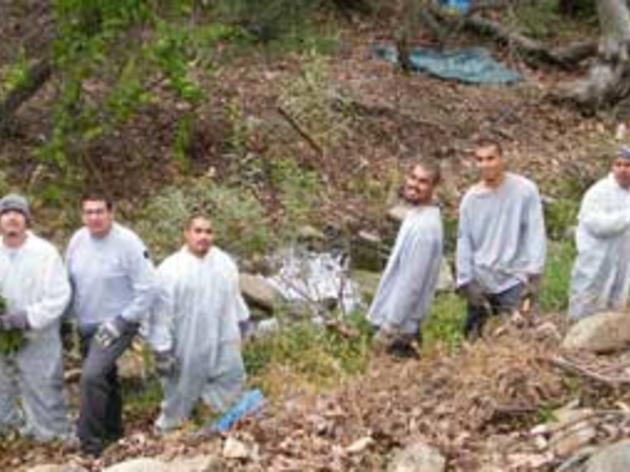 Audubon sanctuary helps Orange County at-risk youth connect with nature