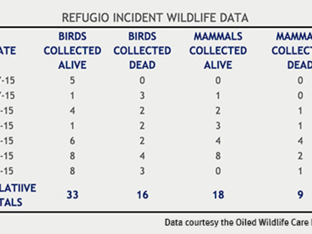 Latest numbers on wildlife harmed by Santa Barbara oil spill