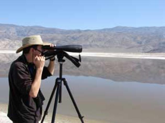Exciting changes to the Audubon Christmas Bird Count