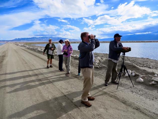 A few photos from Owens Lake